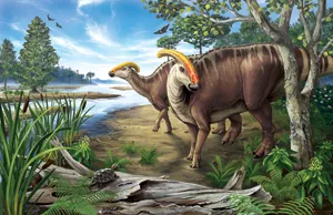 Parasaurolophus illustration