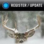 deer covered in snow with button that reads update register