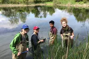 Shannon McCauley and three students wear hip-waders as they collect insects from a pond.