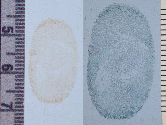 Photograph of fingerprints on a white background.