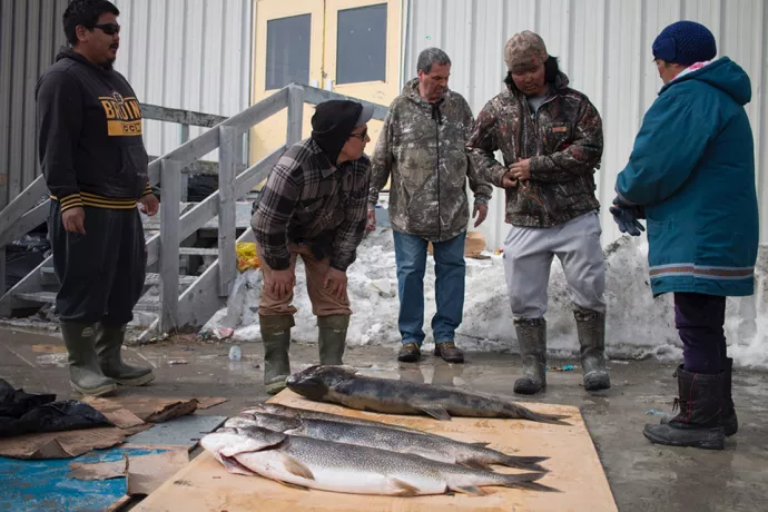 Five people stand in front of a metal building in the snow in front of a board one the ground with four large fish on it.