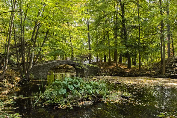 Arched stone bride spanning a pond with trees in the background