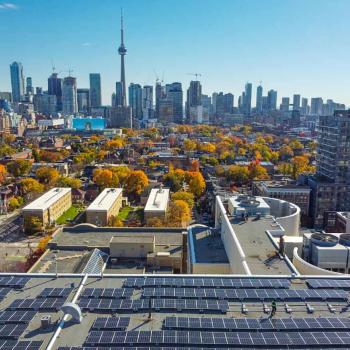 A rooftop with rows of solar panels on it, in the background is the Toronto skyline with the CN Tower
