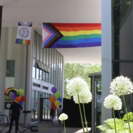 Pride flags seen in the distance with flowers in the foreground