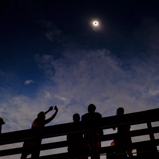 People in shadow look up at the sky during a solar eclipse