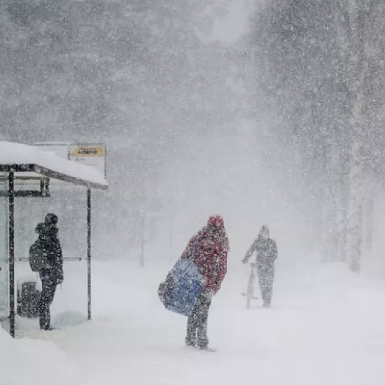snowstorm and bus shelter