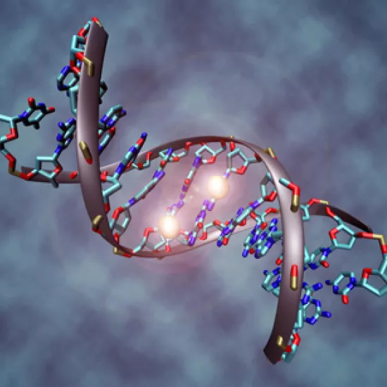 Image of DNA molecule