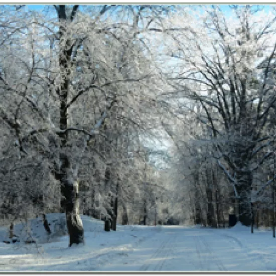Principal's Road in winter