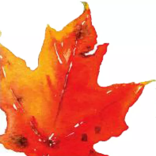 Leaf image for Canadian Perspective lecture series