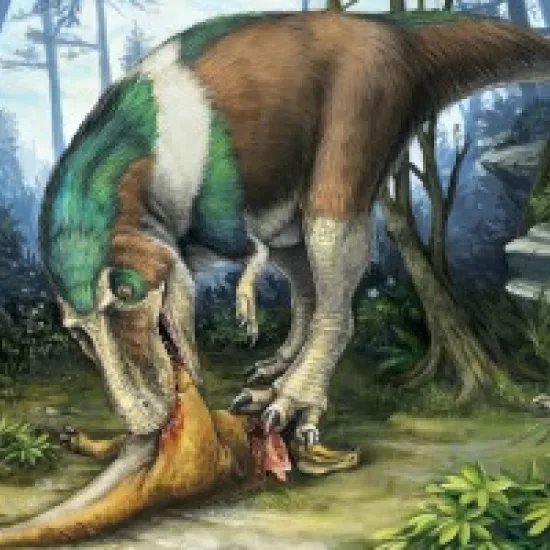 Gorgosaurus using its specialized teeth for feeding on a young Corythosaurus 