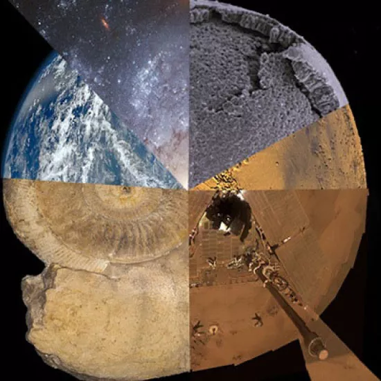 Circular image made with multiple scientific photos