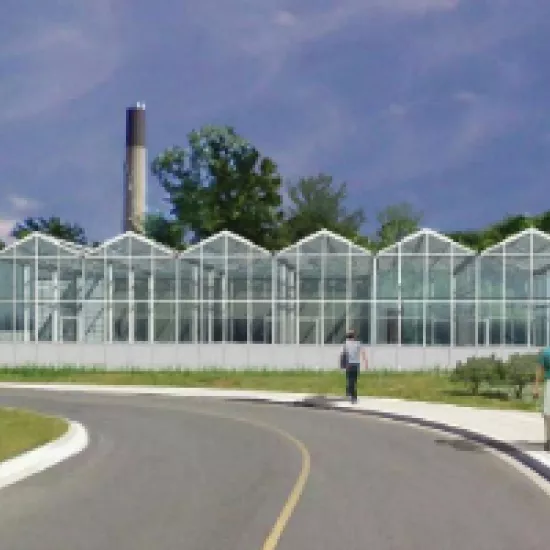 image of a glass greenhouse building
