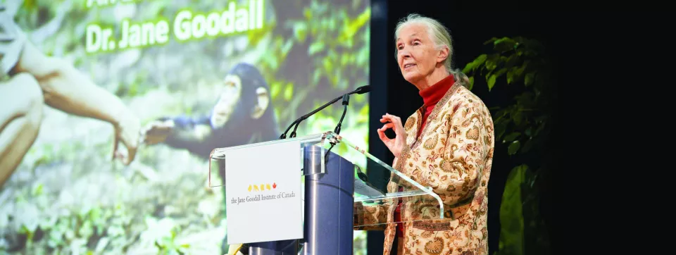 Jane Goodall 2012 Snider Lecturer