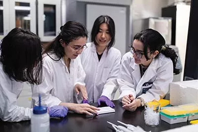 Students collaborating in a lab setting