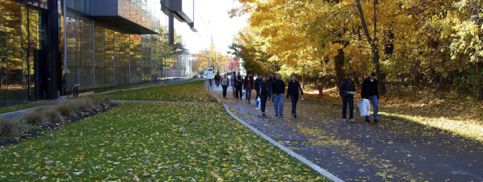 Students walking along path near CCT