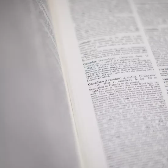 A close-up of a white page of a book with terms written in black ink. 