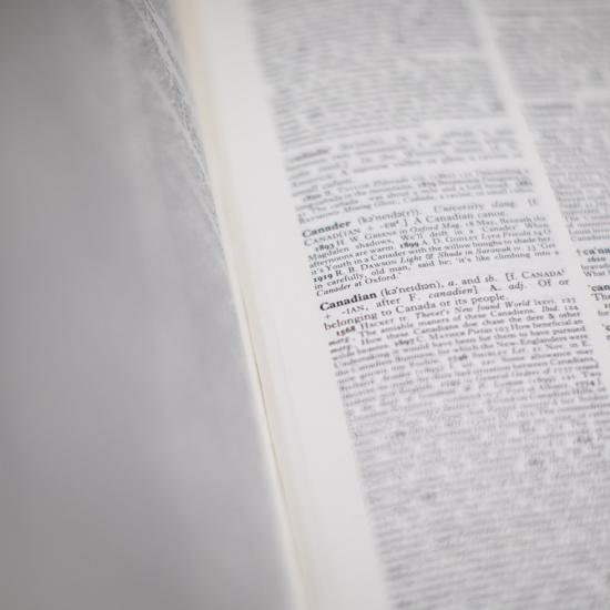 A close-up of a white page of a book with terms written in black ink. 