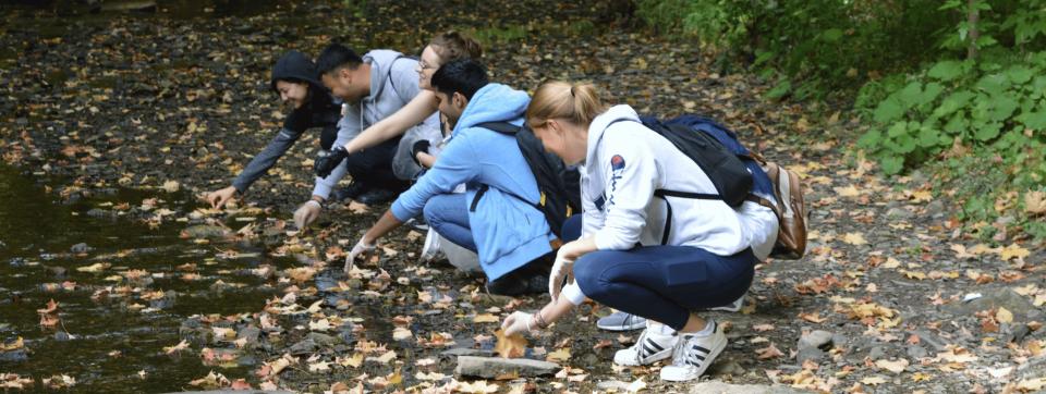 Students cleaning up a river.