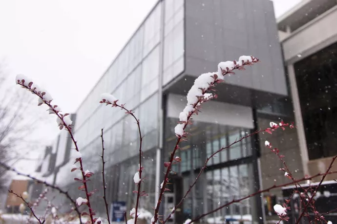 UTM campus building surrounded by winter snow