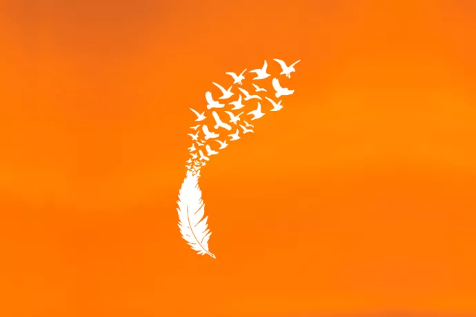 Orange background with white feather