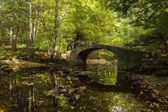 Watkins Pond and stone bridge in summer season