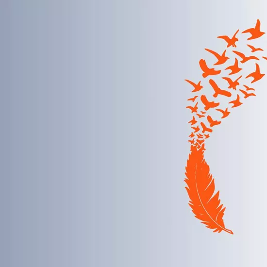 Orange shirt day symbol depicting a feather and birds