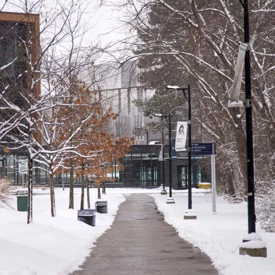 UTM campus walkway, covered in winter snow