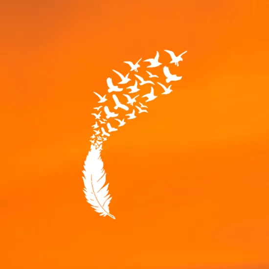 Orange background with white feather
