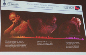 Chronic Pain slide from Prof. Loren Martin's presentation