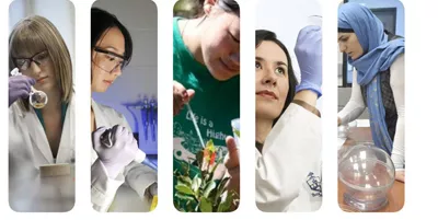 Female Faculty Members in STEM