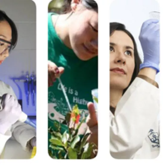 Female Faculty Members in STEM